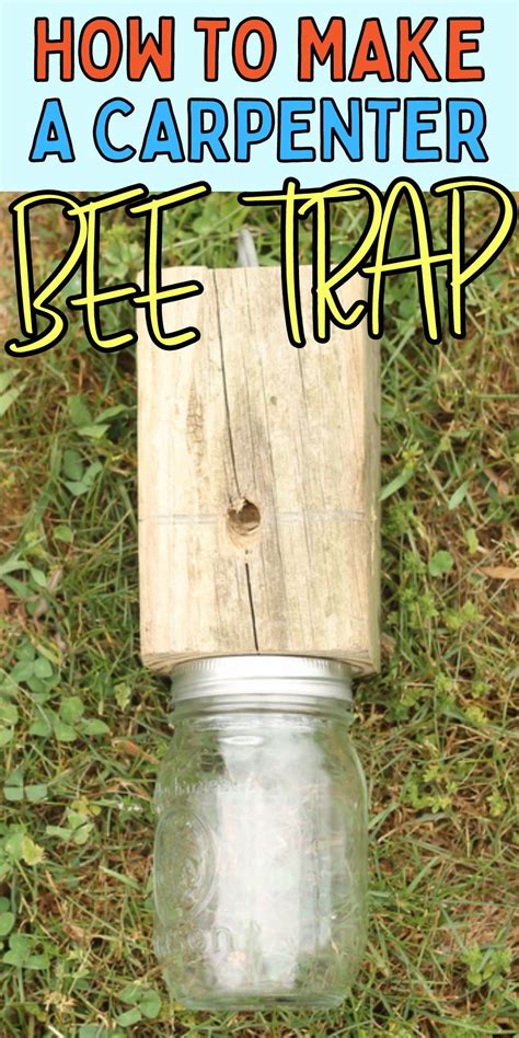 Best bee trap - This item: GRTRE 2 Pack Wood Carpenter Bee Trap for Outside - Wood Boring Bee Trap - Best Bee Trap - Nature Cabin Style Carpenter Bee Traps Outdoor Hanging $44.99 $ 44 . 99 Get it as soon as Tuesday, Mar 5 